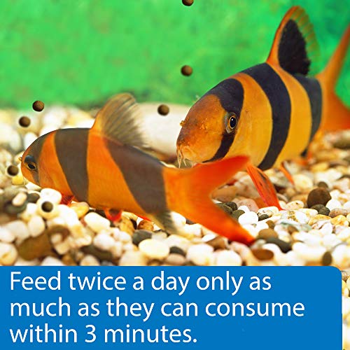 API BOTTOM FEEDER PELLETS WITH SHRIMP Fish Food 1.5-Ounce Container