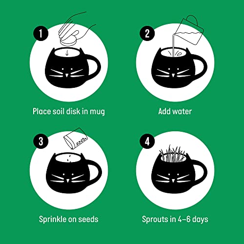 Cat Grass Growing Kit with Organic Seed, Organic Soil and Cat Planter. Great Learning Activity or Project for Home. Natural Hairball Control, Remedy for Cats. Natural Digestive Aid. USA Manufactured.