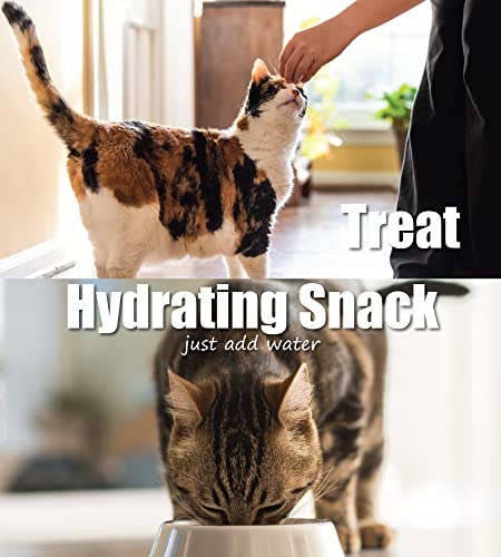 Whole Life Pet USA Sourced and Produced Human Grade Freeze Dried Chicken Breast Cat Treat Value Pack, Protein Rich for Training, Picky Eaters, Digestion, Weight Control, 9 Ounce