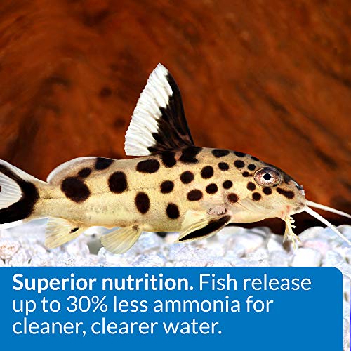 API BOTTOM FEEDER PELLETS WITH SHRIMP Fish Food 1.5-Ounce Container