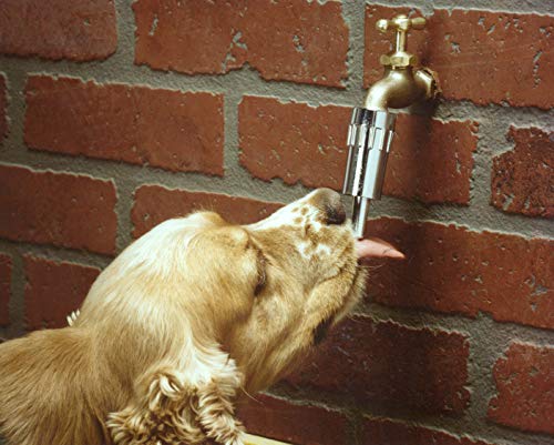 Lixit Faucet Waterer for Dogs