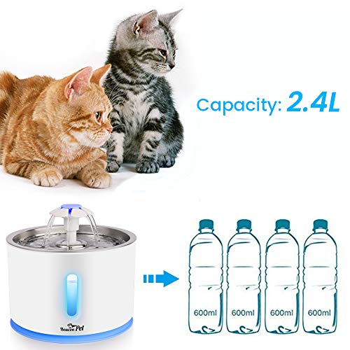 Beacon Pet Cat Water Fountain Stainless Steel, LED 81oz/2.4L Automatic Pet Fountain Dog Water Dispenser with 1 Replacement Filters for Cats Dogs Birds