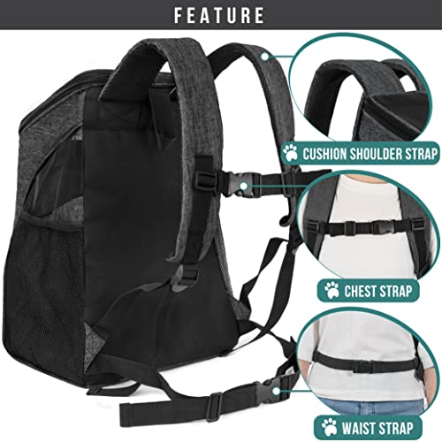 PetAmi Premium Pet Carrier Backpack for Small Cats and Dogs | Ventilated Design, Safety Strap, Buckle Support | Designed for Travel, Hiking & Outdoor Use (Gray)