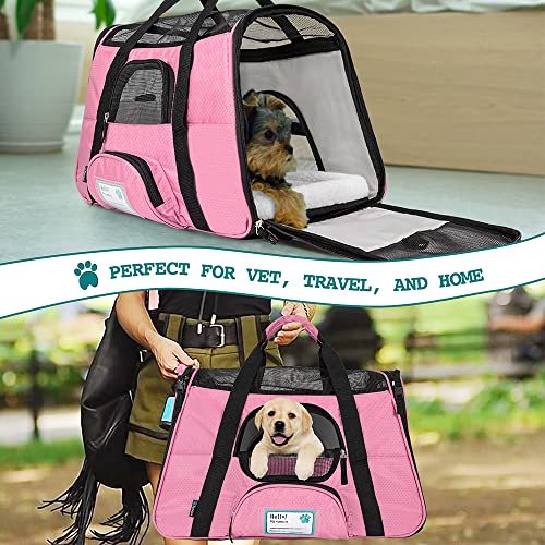 PetAmi Premium Airline Approved Soft-Sided Pet Travel Carrier | Ideal for Small - Medium Sized Cats, Dogs, and Pets | Ventilated, Comfortable Design with Safety Features (Large, Pink)