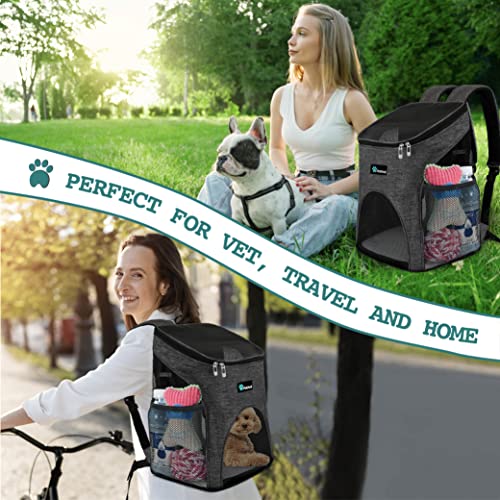 PetAmi Premium Pet Carrier Backpack for Small Cats and Dogs | Ventilated Design, Safety Strap, Buckle Support | Designed for Travel, Hiking & Outdoor Use (Gray)