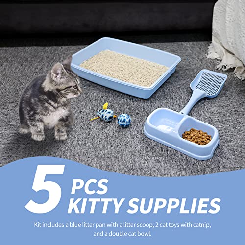 PAWISE Kitty Cat Starter Kit Includes 4-Pieces - Cat Litter Pan, Cat Litter Scooper, Cat Bowls, Cat Toy, 14.5x10.5 Inches, Blue