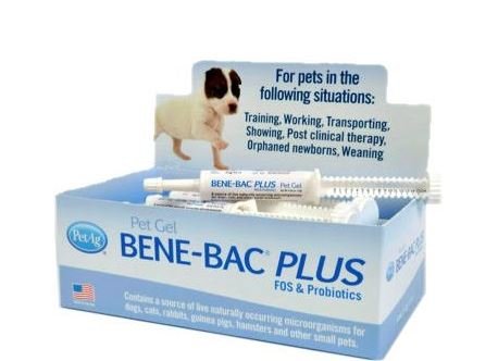 6 Pack Bene-Bac Plus Gel, 15g Syringe 6 -Pack