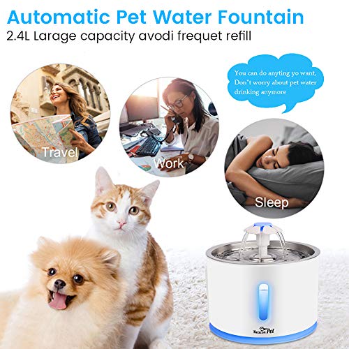 Beacon Pet Cat Water Fountain Stainless Steel, LED 81oz/2.4L Automatic Pet Fountain Dog Water Dispenser with 1 Replacement Filters for Cats Dogs Birds