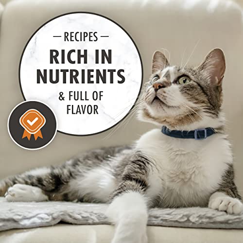 NUTRO WHOLESOME ESSENTIALS Natural Dry Cat Food, Adult Cat Chicken & Brown Rice Recipe Cat Kibble, 3 lb. Bag