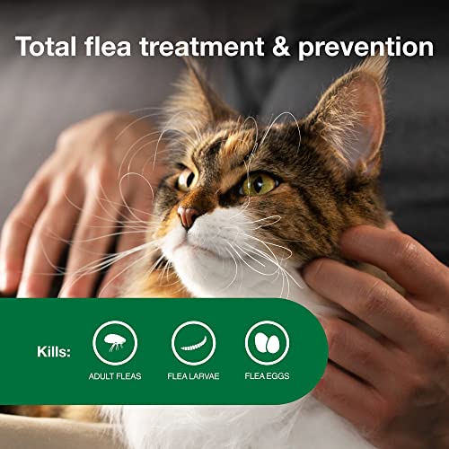 Bayer Animal Health Flea Prevention Cats, Over 9 lbs, 4 Doses, Advantage II