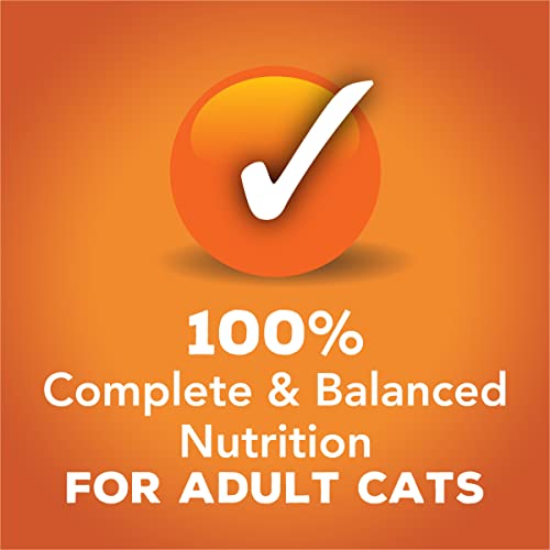 Purina Friskies Gravy Sensations Variety Packs Wet Cat Food, Poultry Favorites Variety Pack, 36 Ounces, Pack of 12