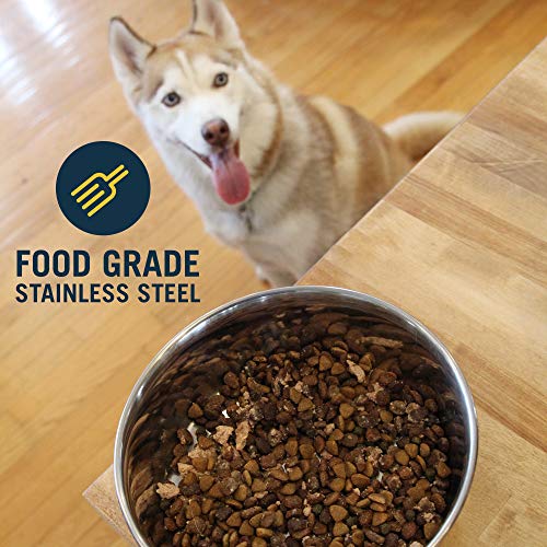 OurPets Premium DuraPet Bowl 2qt