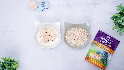 Whole Life Pet USA Sourced and Produced Human Grade Freeze Dried Chicken Breast Cat Treat Value Pack, Protein Rich for Training, Picky Eaters, Digestion, Weight Control, 9 Ounce
