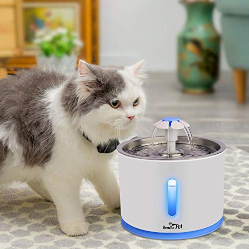 Beacon Pet Cat Water Fountain Stainless Steel, LED 81oz/2.4L Automatic Pet Fountain Dog Water Dispenser with 1 Replacement Filters for Cats Dogs Birds