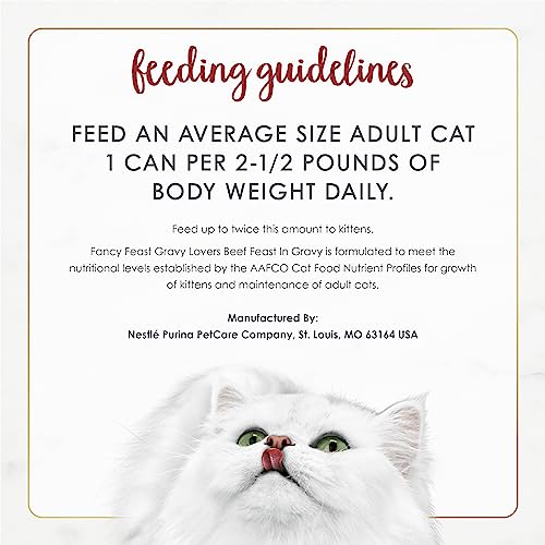 Purina Fancy Feast Gravy Wet Cat Food, Gravy Lovers Beef Feast in Roasted Beef Flavor Gravy - (24) 3 oz. Cans