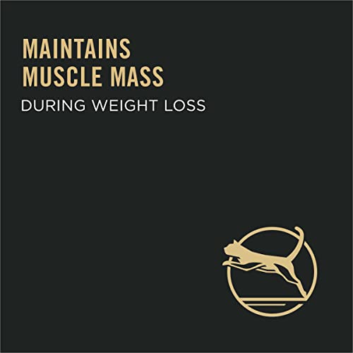 Purina Pro Plan Weight Control High Protein Dry Cat Food, FOCUS Weight Management Chicken & Rice Formula - 16 lb. Bag