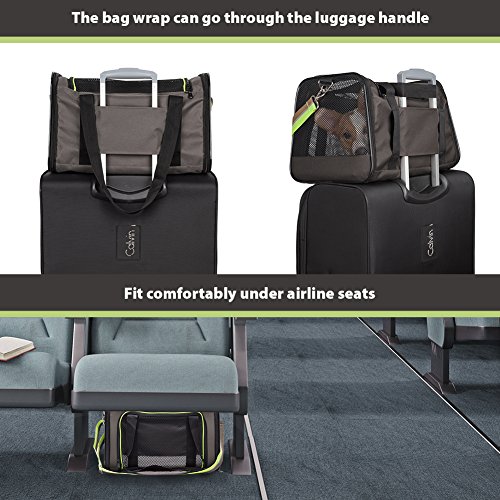 Soft-Sided Pet Travel Carrier, Airline Approved Dog Cat Carrier for Medium Puppy and Cats