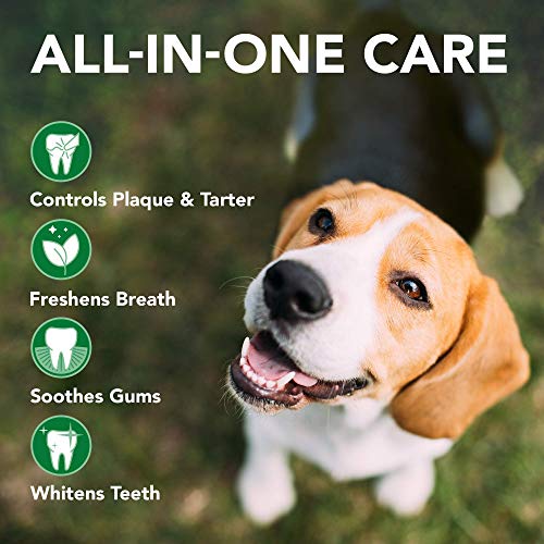 Vets Best Dog Toothbrush and Enzymatic Toothpaste Set | Teeth Cleaning and Fresh Breath Kit with Dental Care Guide| Vet Formulated
