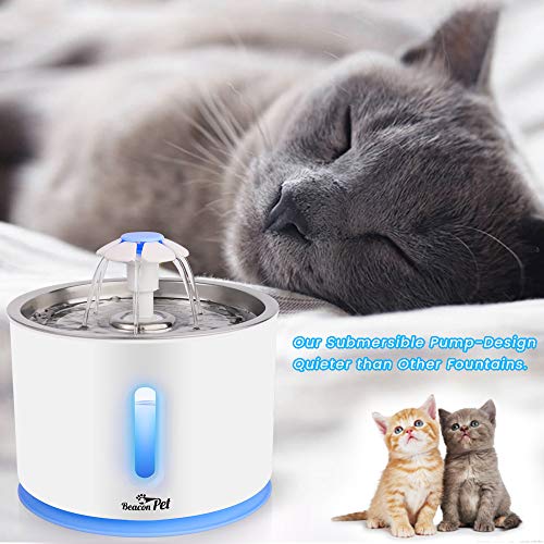 Beacon Pet Cat Water Fountain Stainless Steel, LED 81oz/2.4L Automatic Pet Fountain Dog Water Dispenser with 1 Replacement Filters for Cats Dogs Birds