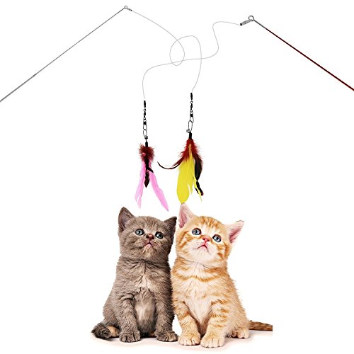 JTEEY Cat Toys Interactive,9 Packs Retractable Cat Toy Wand, Cat Feather Toy, Assorted Refills Teaser Exerciser Wand Toy Set,Fish Bird Butterfly Dragonfly Worm