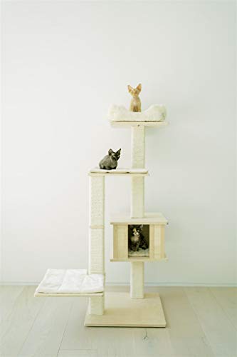 PAWMONA 60" Multi-Level Sturdy cat Tree condo | Made with Durable Natural Birch Wood, Square-Shaped Scratching-Posts, Covered, Natural sisal | Machine Washable - Made in Georgia