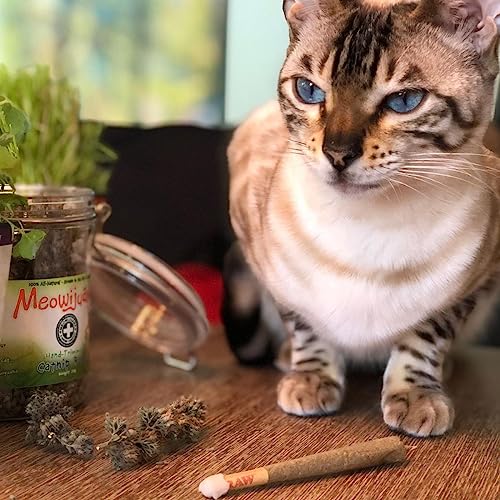 Meowijuana Catnibas Joints - King Size