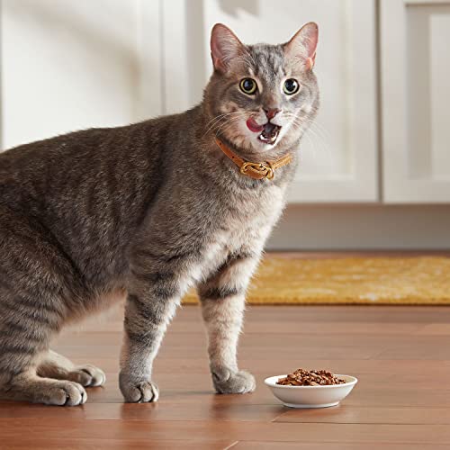 Meow Mix Tender Favorites Wet Cat Food, Chicken & Beef, 2.75 Ounce Cup (Pack of 12)