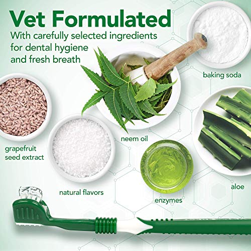 Vets Best Dog Toothbrush and Enzymatic Toothpaste Set | Teeth Cleaning and Fresh Breath Kit with Dental Care Guide| Vet Formulated