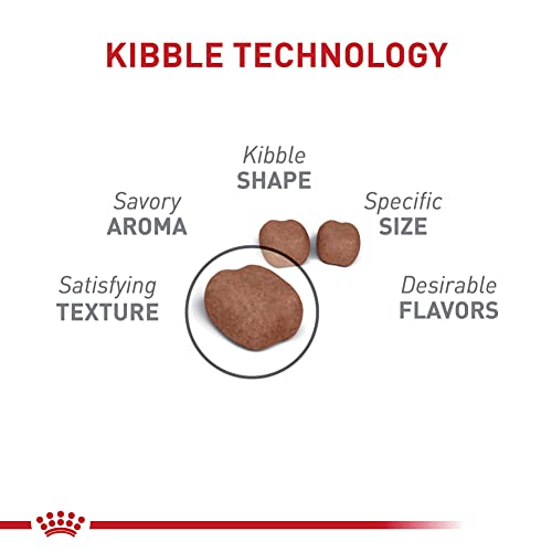 Royal Canin Oral Care Dry Cat Food, 6 lb. bag