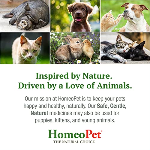 HomeoPet Feline Nose Relief