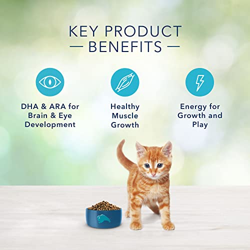 Blue Buffalo Freedom Grain Free Natural Indoor Kitten Dry Cat Food, Chicken 5-lb.