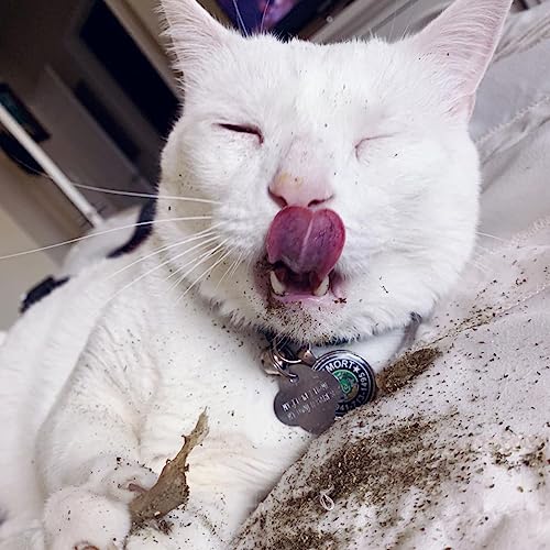 Meowijuana Catnibas Joints - King Size