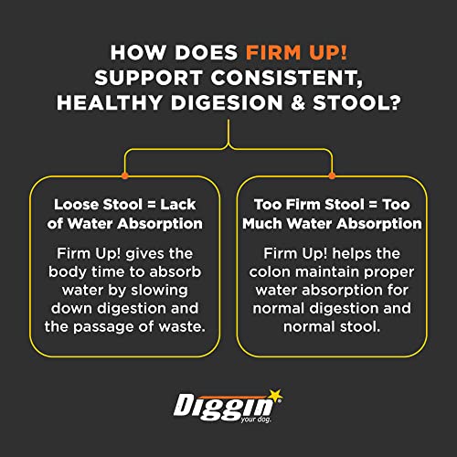 Diggin Your Dog xMlJxQ Firm Up Pumpkin Supplement, Pumpkin and Cranberry, 9.5H X 6.5W X 2.5D (Pack of 2)