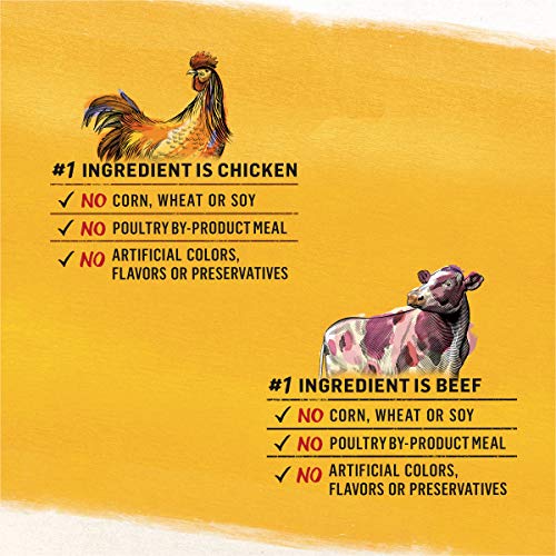 Purina Beyond Grain Free, Natural Pate Wet Dog Food, Chicken & Beef Recipe Variety Pack - (2 Packs of 6) 13 oz. Cans