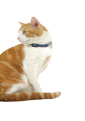 Red Dingo Reflective Cat Collar, One Size Fits All, Green