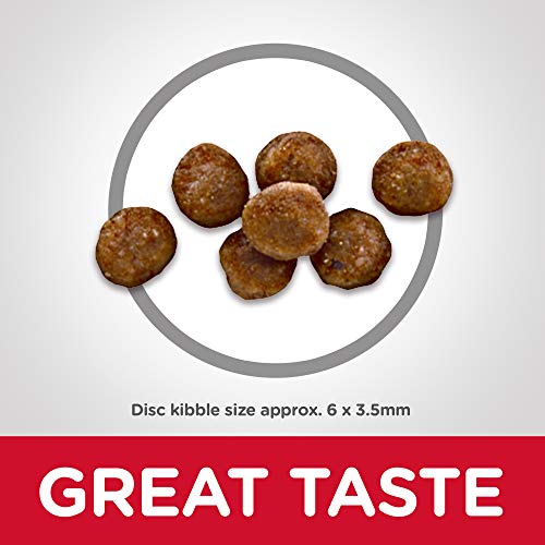 Hill's Science Diet Dry Cat Food, Kitten, Indoor, Chicken Recipe, 3.5 lb Bag