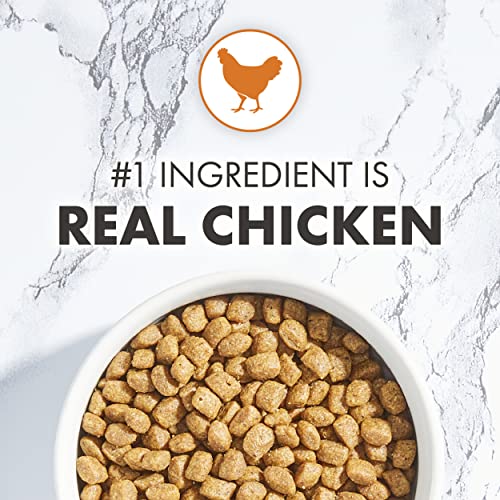 NUTRO WHOLESOME ESSENTIALS Kitten Natural Dry Cat Food for Early Development Farm-Raised Chicken & Brown Rice Recipe, 3 lb. Bag