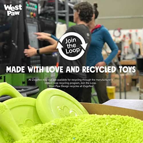 West Paw Zogoflex Qwizl Dog Puzzle Treat Toy  Interactive Chew Toy for Dogs  Dispenses Pet Treats  Brightly-Colored Dog Puzzles for Aggressive Chewers, Fetch, Catch, Non-Toxic, L, Aqua