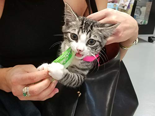 INABA Churu Lickable Purée Natural Cat Treats (Chicken Recipe, 4 Tubes)