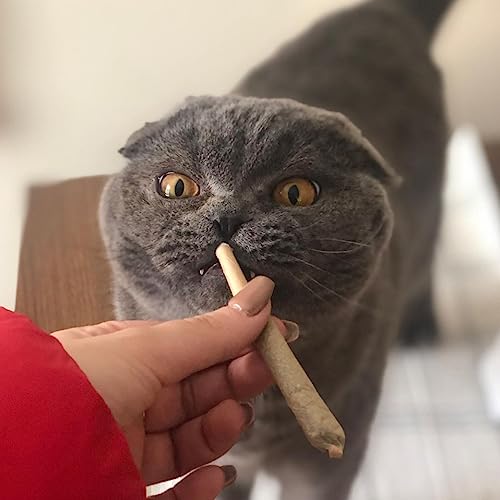 Meowijuana Catnibas Joints - King Size