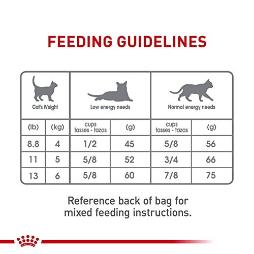 Royal Canin Oral Care Dry Cat Food, 6 lb. bag