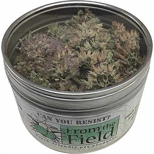 From The Field Can You Resist Catnip Buds, 0.4-Ounce