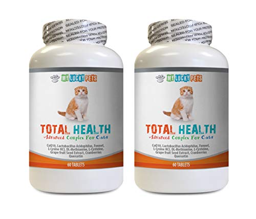 cat Gum Treats - CAT Total Health Formula - Hair Skin Teeth Eye Urinary Health - Immune Boost - Vitamins for Cats Senior Cats - 2 Bottles (120 Tablets)