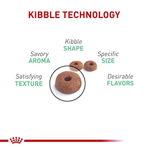 Royal Canin Digestive Care Dry Cat Food, 3 lb. bag