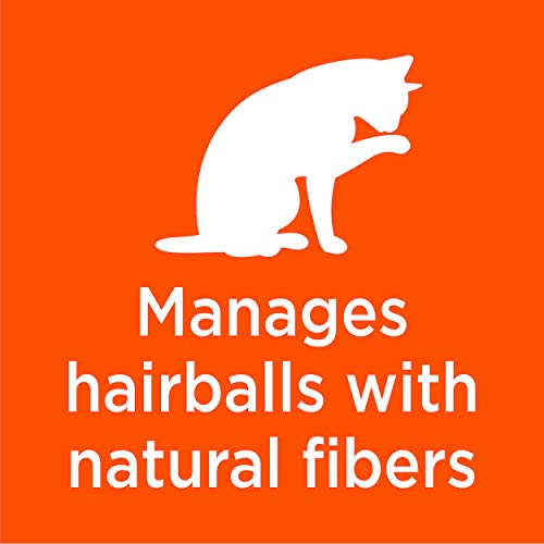 IAMS PROACTIVE HEALTH Adult Hairball Care Protein-Rich Hairball Control Dry Cat Food with Chicken and Salmon, 3.5 lb. Bag