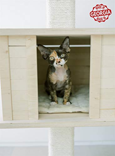 PAWMONA 60" Multi-Level Sturdy cat Tree condo | Made with Durable Natural Birch Wood, Square-Shaped Scratching-Posts, Covered, Natural sisal | Machine Washable - Made in Georgia