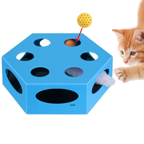 WINGPET Interactive Cat Toys Electronic - Newest Version Smart Motion Cat Toy Automatic with Worm Tail & Catnip Ball Random Rotating, Pet Kitten Stimulation Toys (Auto Off Timer, Battery Included)