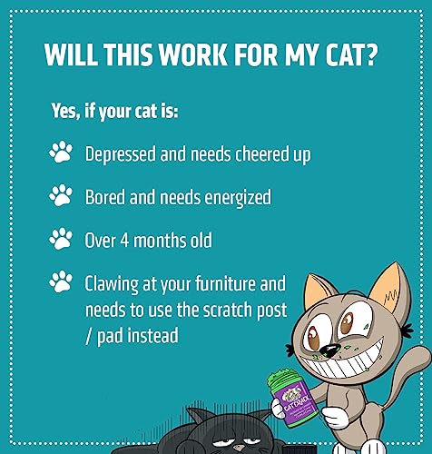 Cat Crack Catnip, Premium Blend Safe for Cats, Infused with Maximum Potency Your Kitty is Sure to Go Crazy for (4 Cups)