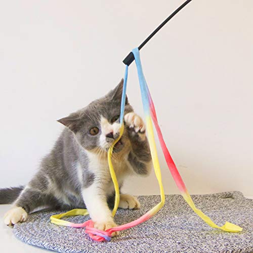 M JJYPET Retractable Cat Wand Toys,12 Packs Interactive Cat Feather Toy,9 Assorted Teaser Refills with Bell for Cat,Kitten