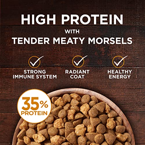 Purina ONE Natural, Grain Free Dry Cat Food, True Instinct Grain Free With Real Chicken - 6.3 lb. Bag